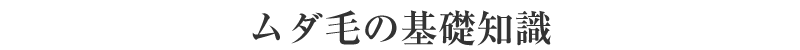 ムダ毛の基礎知識