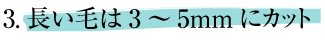 3.長い毛は3～5mmにカット